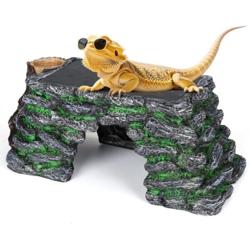 3-in-1 Large Bearded Dragon Sunbathing Platform