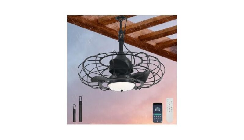 Outdoor Ceiling Fan with Light, 20in Gazebo Fan with Remote and APP Control, 6 Speed, Dimmable, Dark Black