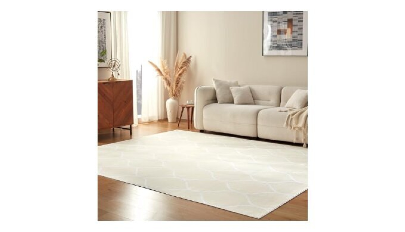 Elevate Your Space with Amazon Basics Indoor Rug