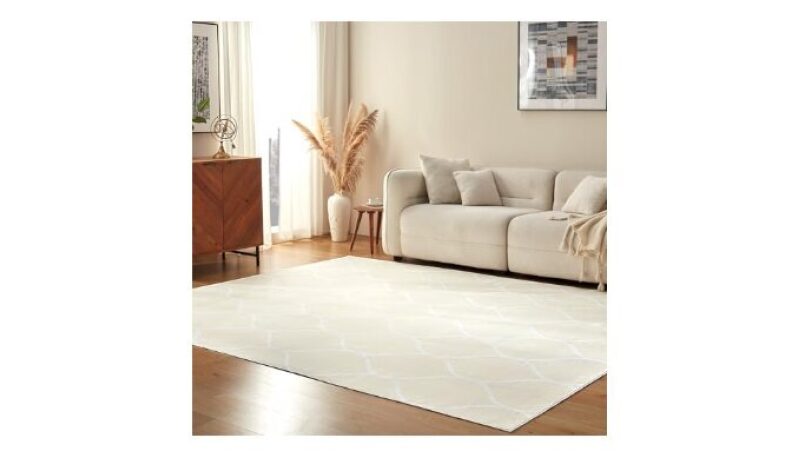 Elevate Your Space with Amazon Basics Indoor Rug