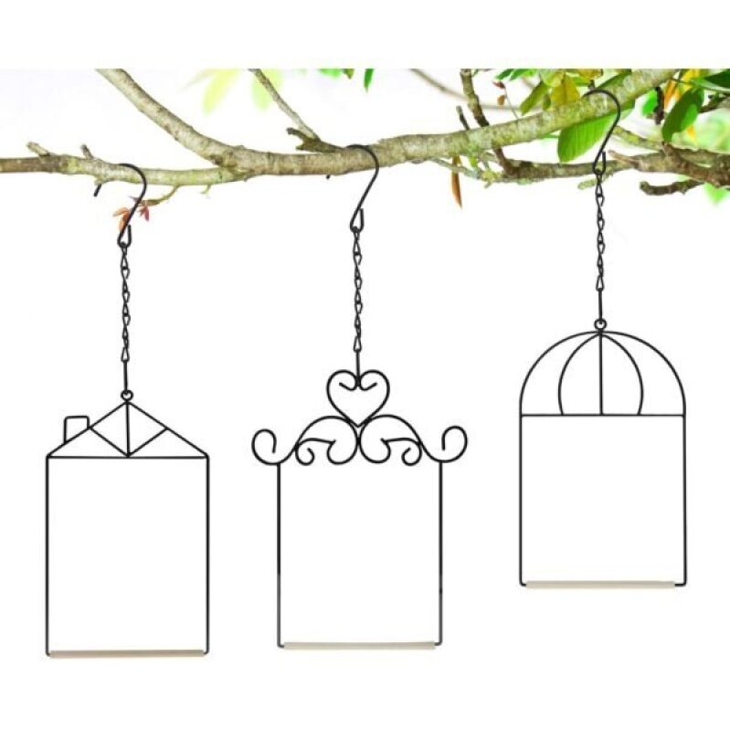 3 Hummingbird 栖木 - Metal Frame Bird Swing, 53% Discount