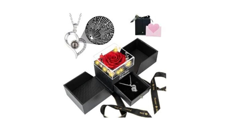Preserved Red Rose Necklace: Heart I Love You in 100 Languages