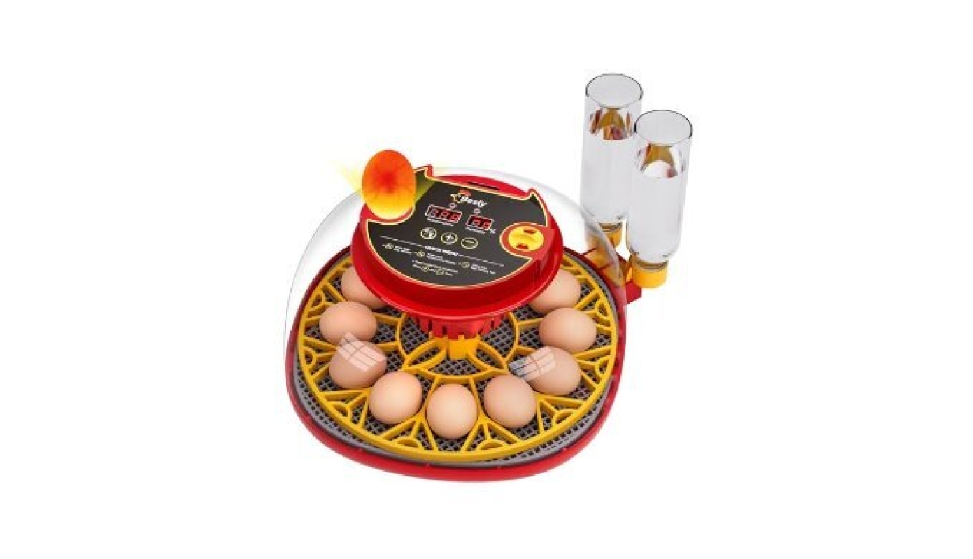 Upgraded 12 Egg Incubator with Auto-Turning, Temperature & Humidity Control