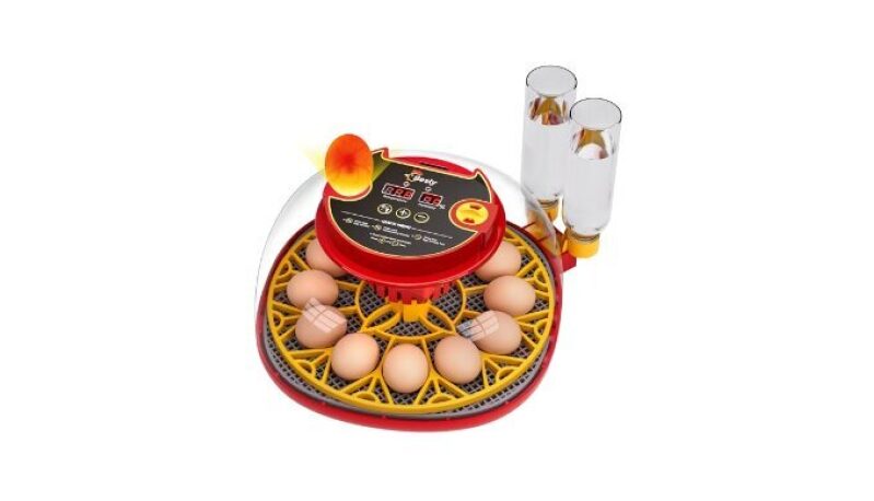Upgraded 12 Egg Incubator with Auto-Turning, Temperature & Humidity Control
