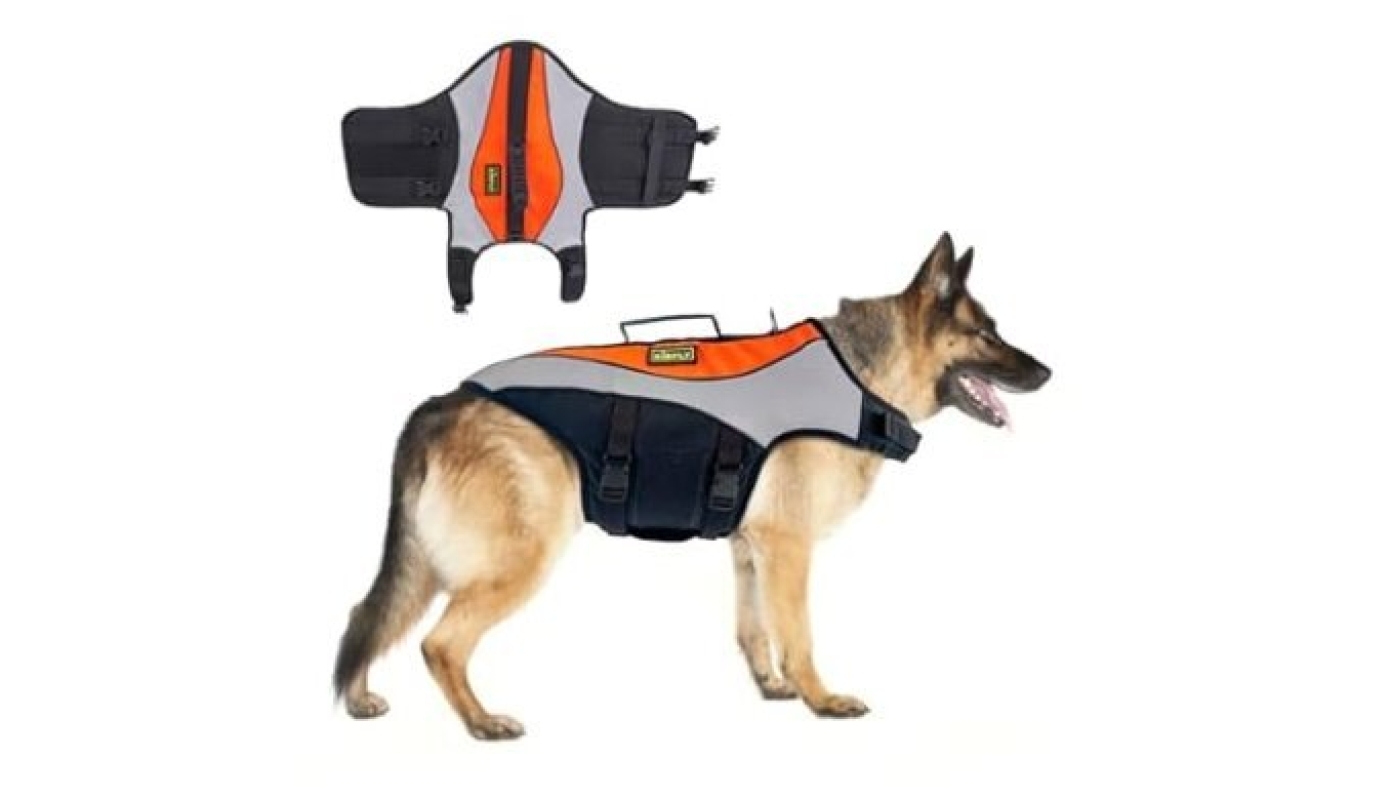 PetSafe Dog Life Jacket for Safe Summer Swims