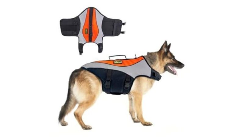 PetSafe Dog Life Jacket for Safe Summer Swims