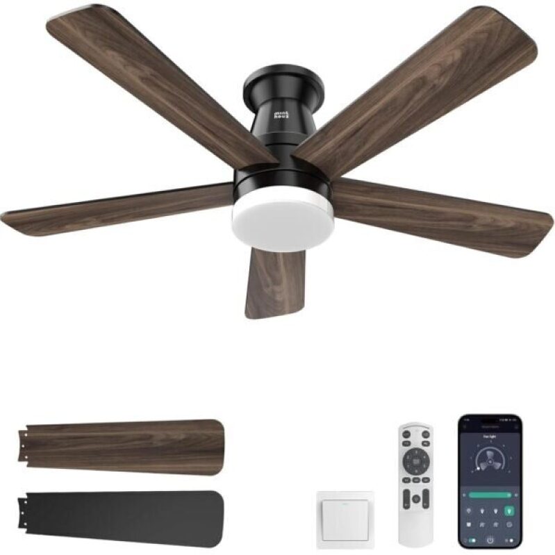 Minthouz Ceiling Fan with Light - 40% Discount