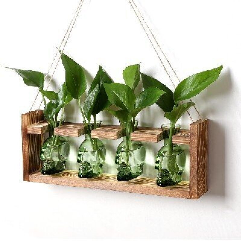Skull Plant Propagation Station Set for Home Decor