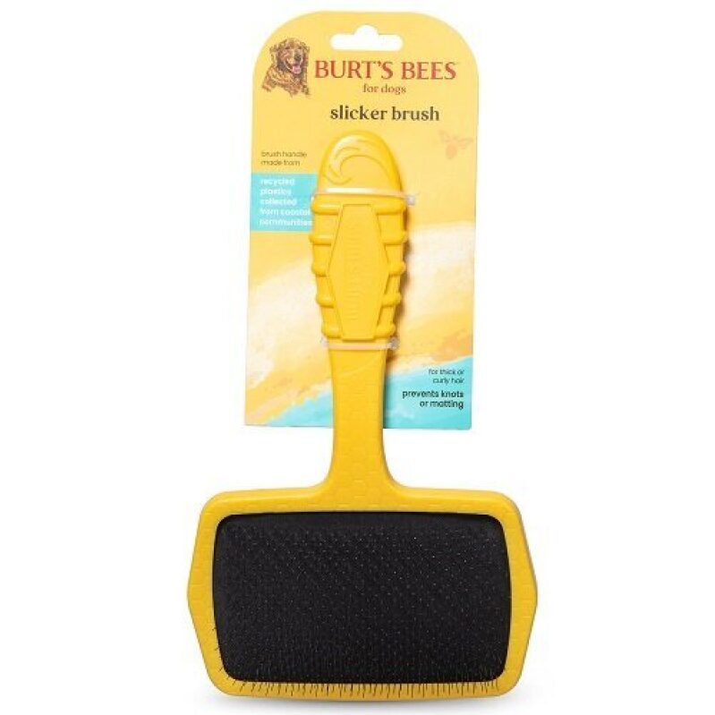 Burt's Bees Dog Slicker Brush - Low Price Deal!