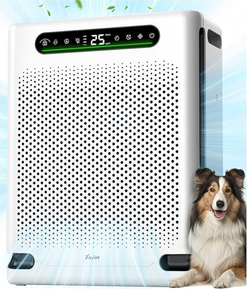 FreAire HAP605 Air Purifier - Ultimate Home Air Clean Solution