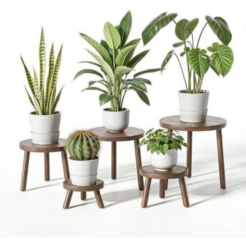 Medieval Style Indoor Plant Stands - 50% Discount