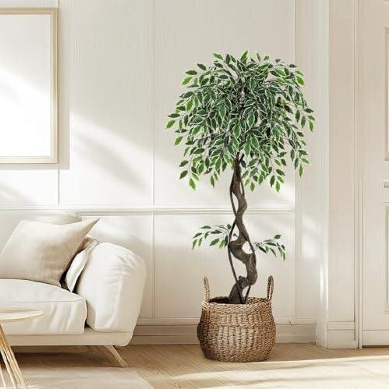 Elevate Your Space with a Lifelike Ceramic Ficus Tree