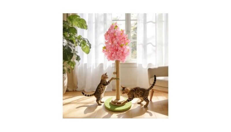 Elegant Cherry Blossom Cat Scratching Post - 36