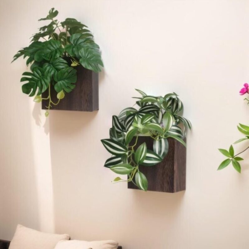 Elevate Your Space with WOYOO Wall Planters - 52% Off!