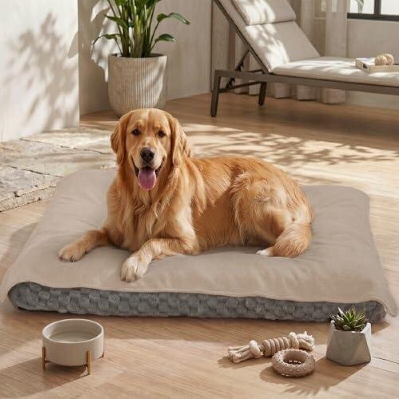 Upgrade Your Pet's Comfort with Washable Dog Bed Cover - 50% Off!