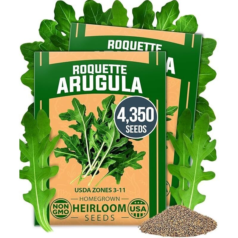 High-Quality Roquette Arugula Seeds for Home Gardens