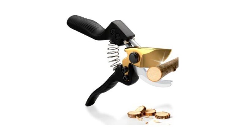 Heavy Duty Bypass Garden Shears for Efficient Pruning