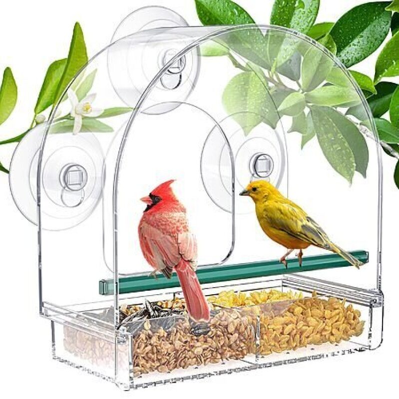 SUNALLY Window Bird Feeder with Strong Suction Cups - Style 4, Prime Exclusive
