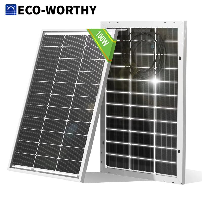 ECO-WORTHY 100W 12V Solar Panel - High-Efficiency Bifacial Solar Charger