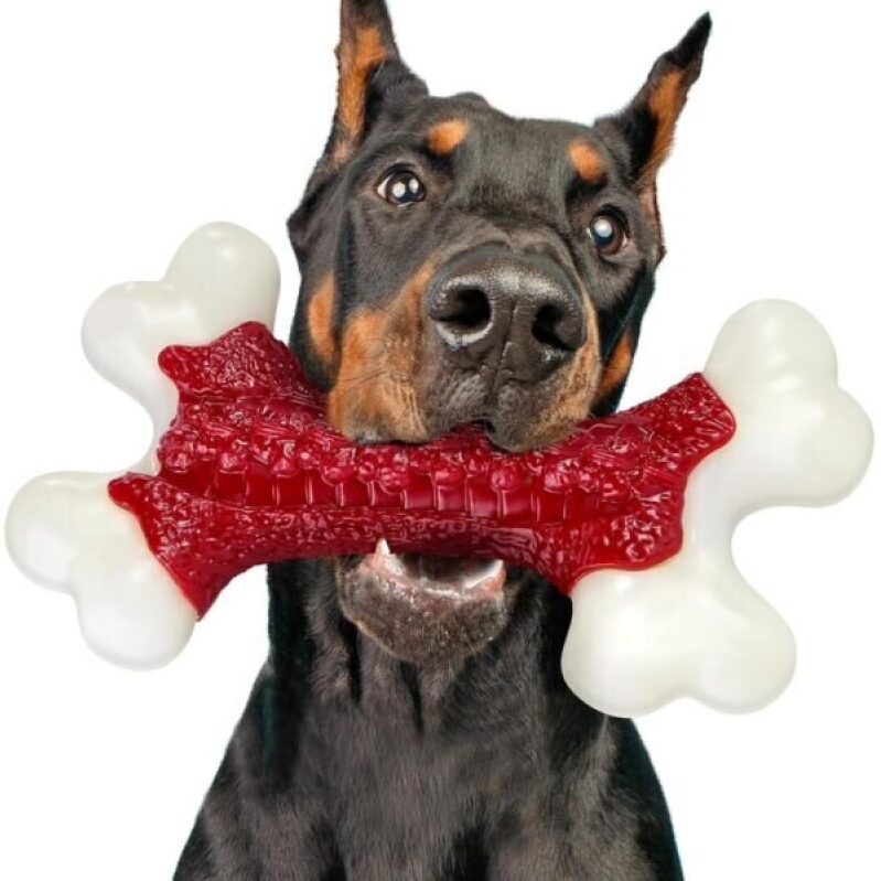 Kseroo Indestructible Dog Toys for Aggressive Chewers - Beef Flavored Hard Nylon Bone Chew Toys