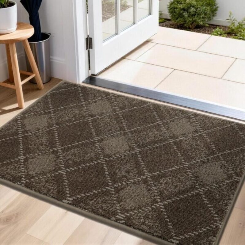 COSY HOMEER Door Mat: Non-Slip, Soft Absorbent TPR Backing Doormat for Pets & Family