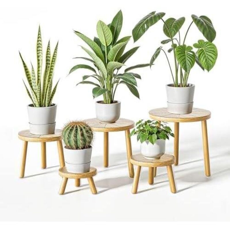 Five-Piece Wooden Plant Stands with High-Legged Single Plant Pots - 50% Discount