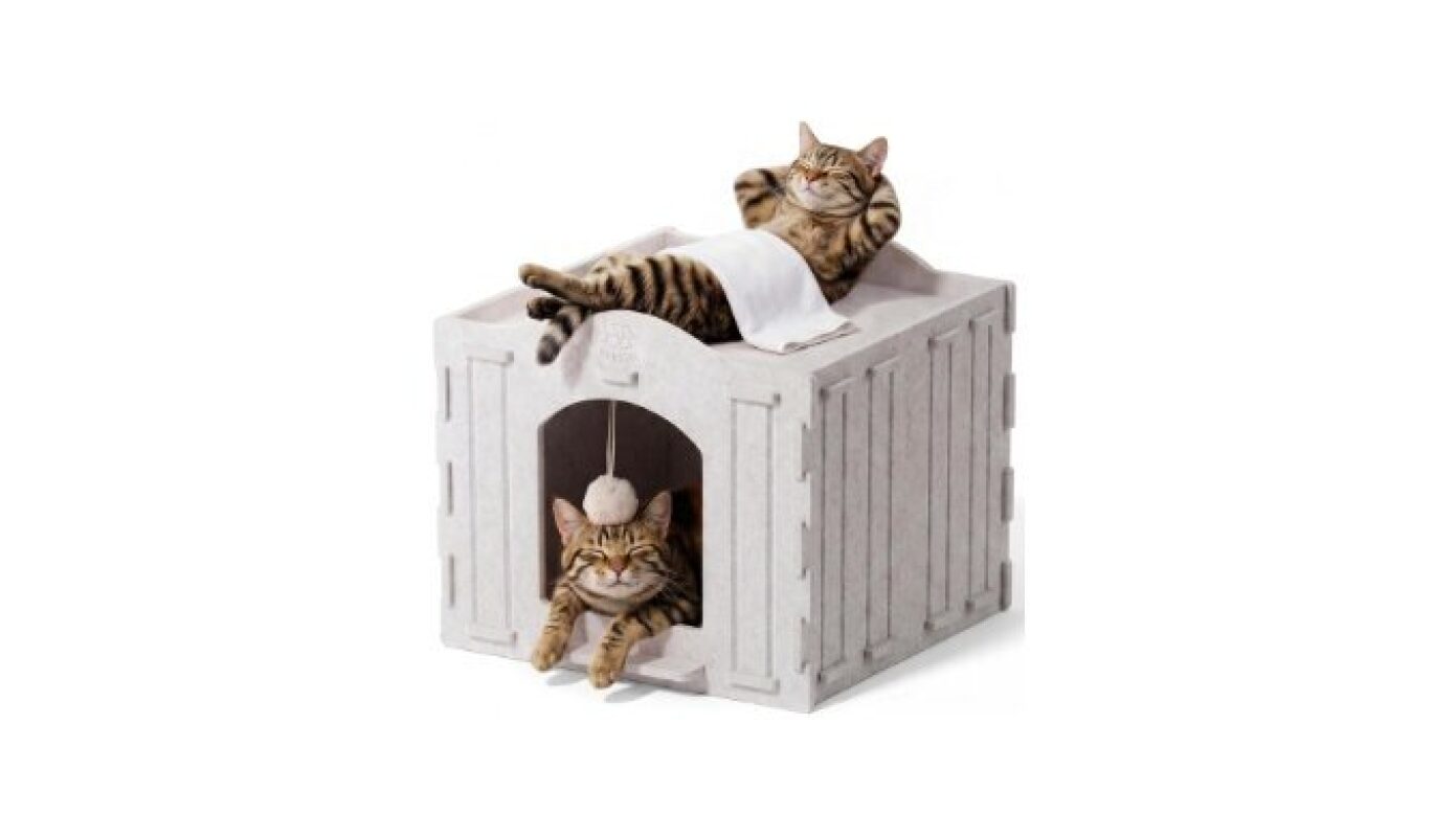 Apasiri Cat Bed Cave: Ultimate Comfort for Indoor Cats