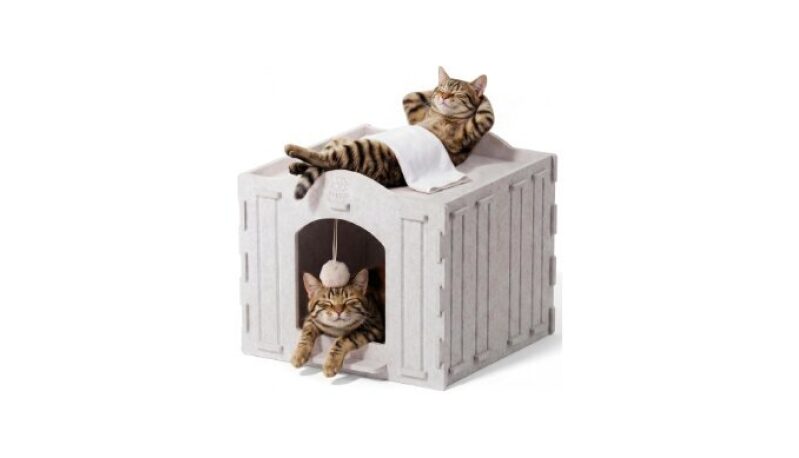 Apasiri Cat Bed Cave: Ultimate Comfort for Indoor Cats