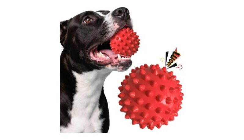 Beef-Flavored Durable Dog Ball for Aggressive Chewers