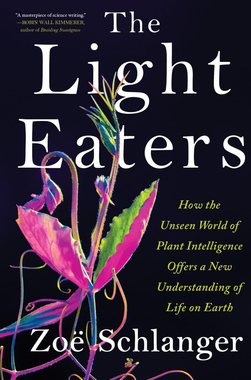 The Light Eaters: A Deep Dive into Plant Intelligence