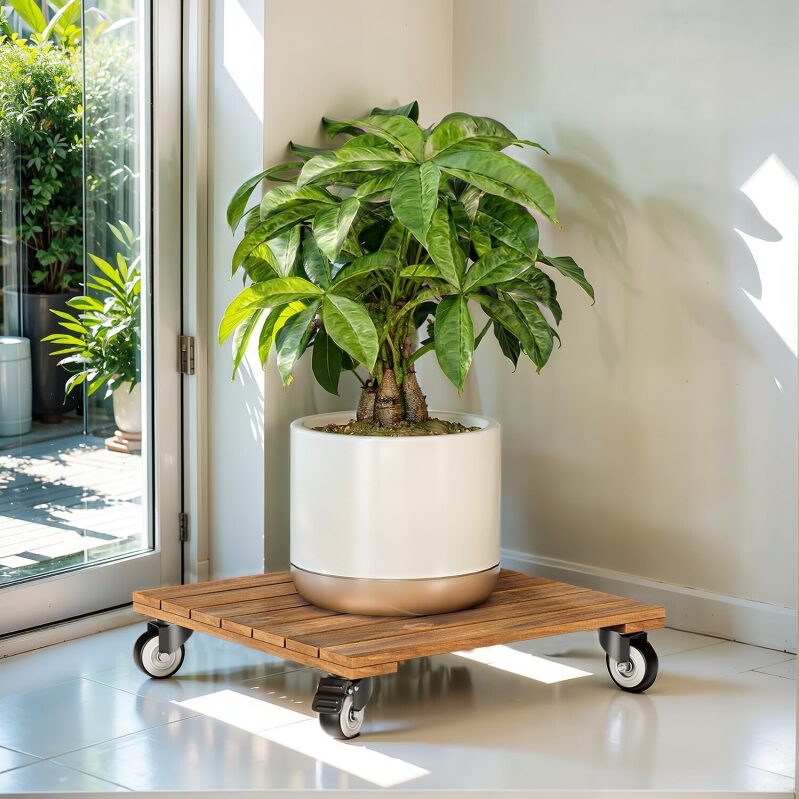 Idzo 2-Pack 12 Inch Acacia Wood Rolling Square Plant Caddy