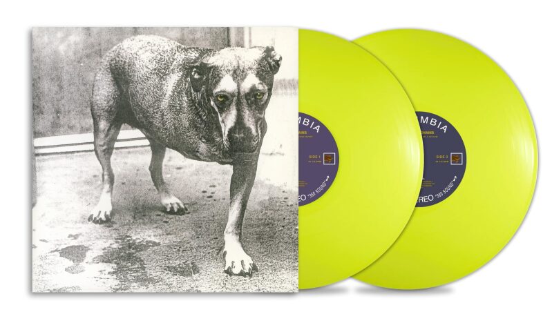 Alice in Chains Reissued Vinyl w/AutoRip MP3 - A Must-Have for Music Lovers