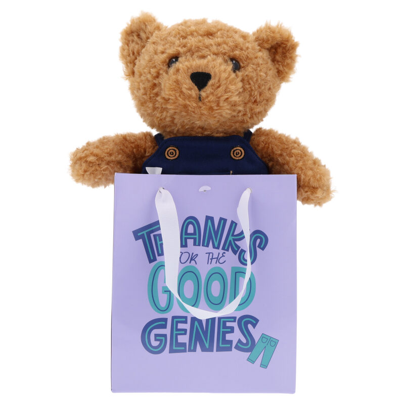 Way To Celebrate Mother's Day Bear Plush in Gift Bag, Brown and Blue