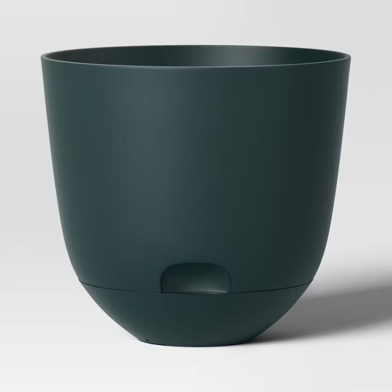 Self-Watering Plastic Planter Pot Fern Shower - 8x8-in