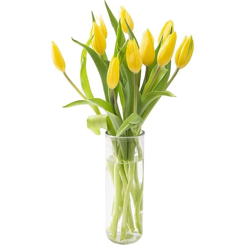 KaBloom Bouquet of Fresh 10 Yellow Tulips with Vase