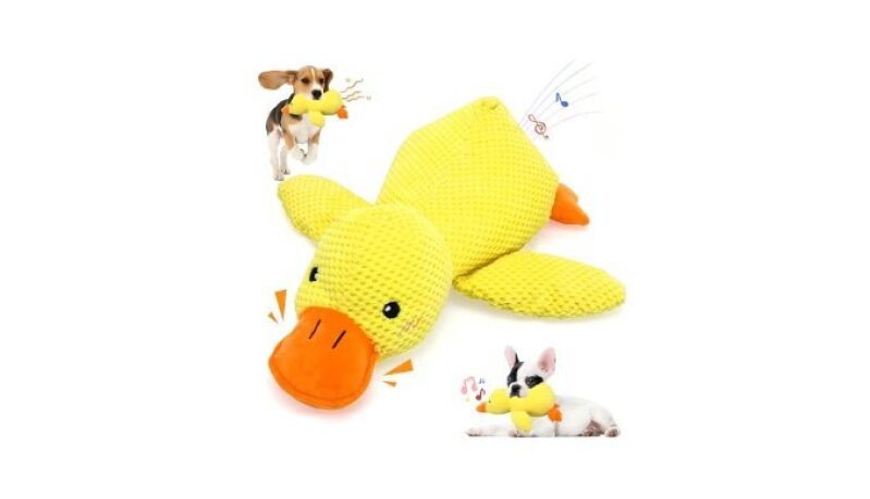 Interactive Quacking Duck Toy for Dogs - Yellow