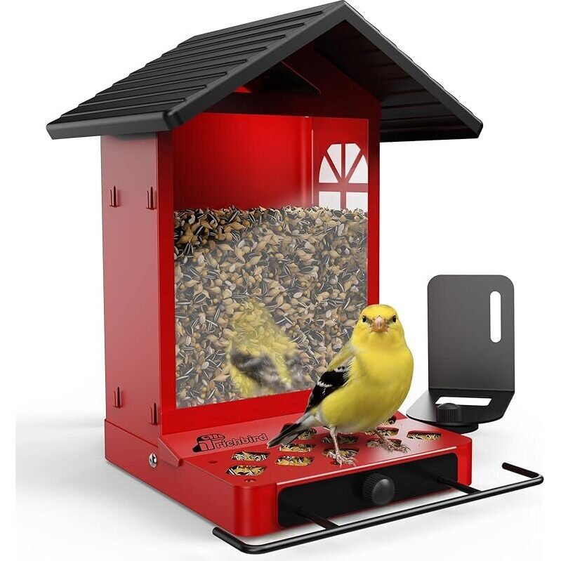 Durable All-Metal Bird Feeder - Ideal for Outdoors