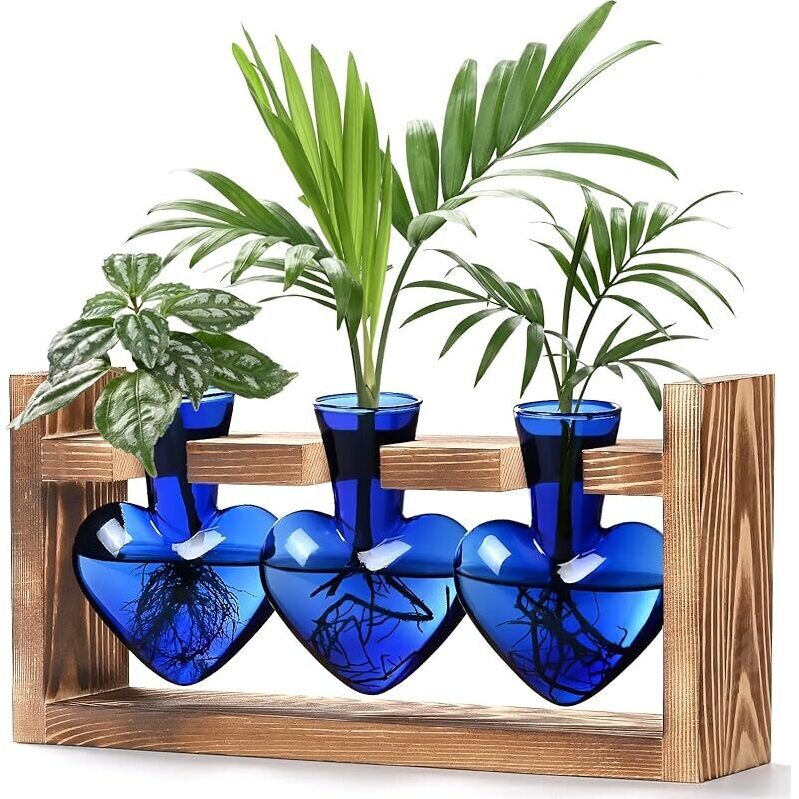 Heart Shaped Propagation Stations 3 Vases - Elegant and Functional Plant Terrariums