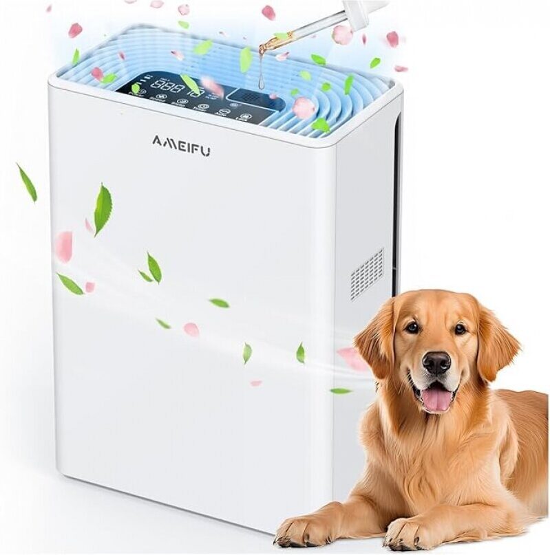 AMEIFU Air Purifiers for Home: Clean Air, Affordable Price