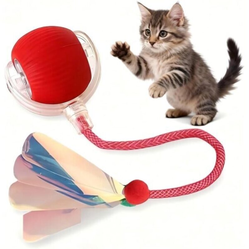Interactive Indoor Cat Toy - 53% Discount