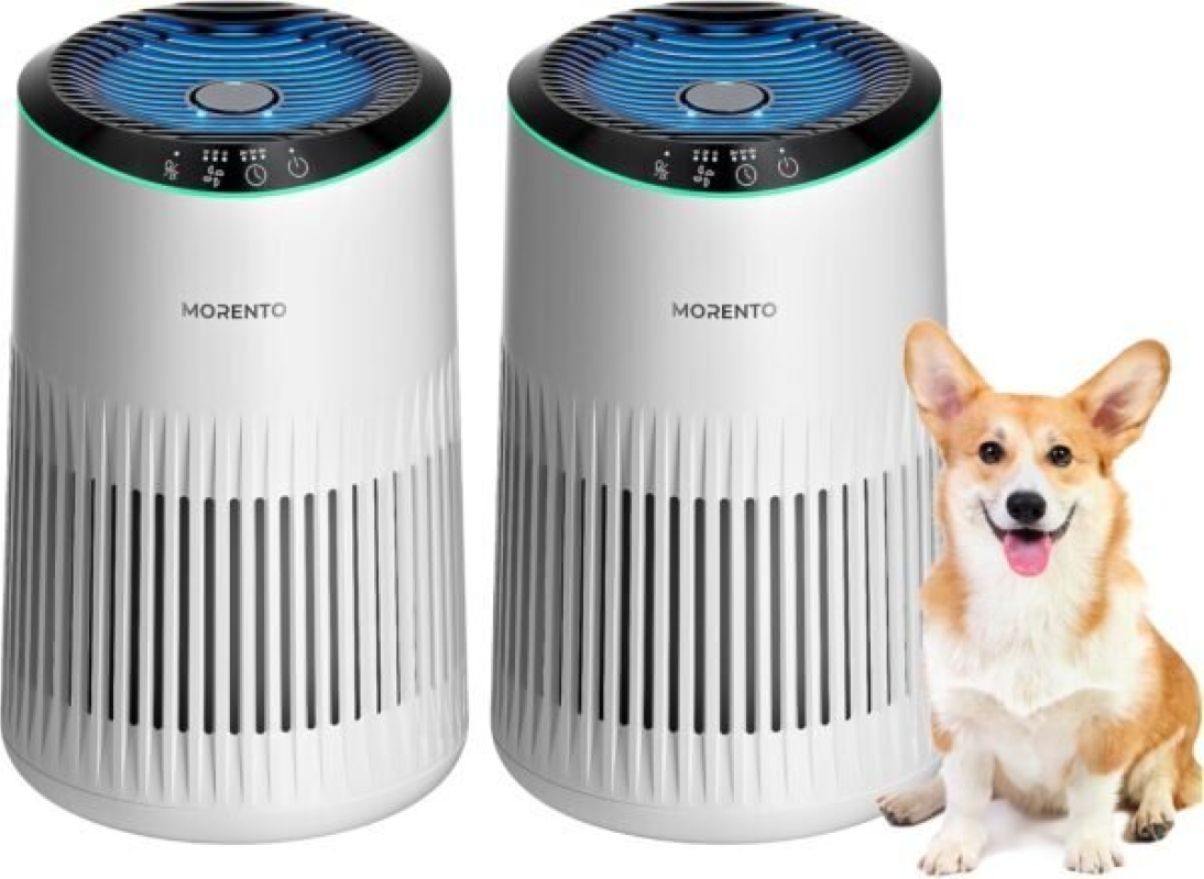 Air Purifier for Bedroom - Eliminate Smoke, Pet Dander & Odors - 55% OFF