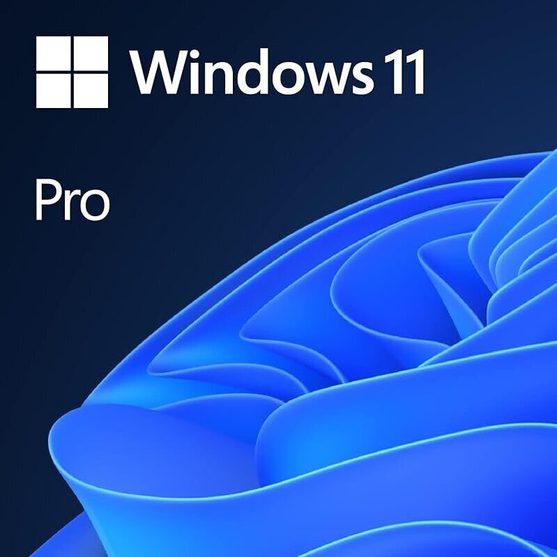 Microsoft Windows 11 Pro OS: The Professional's Choice for Efficiency