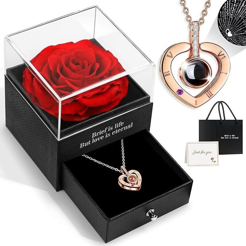 HEGUD Preserved Real Rose Necklace with I Love You Message in 100 Languages