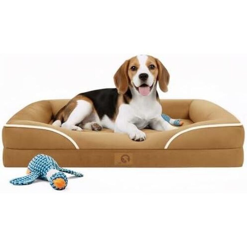 Affordable Orthopedic Dog Bed for Medium Dogs - 50% Discount