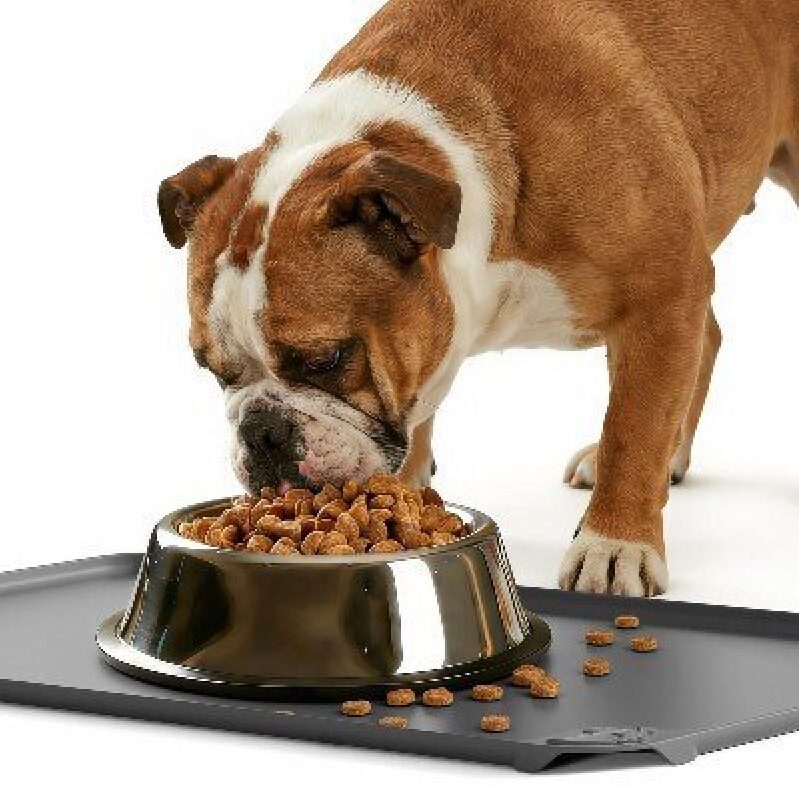 Durable Waterproof Dog Feeding Mat for Pet Safety