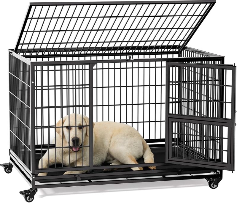 Gardner Pet 43