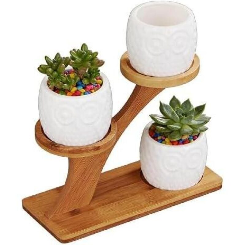 FLOWERPLUS Planter Pots Indoor 50%OFF - Stylish and Functional
