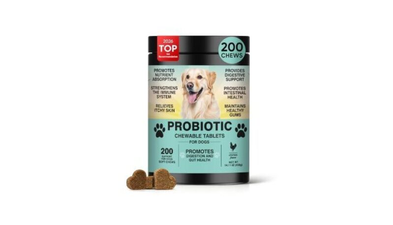 Probiotic Chews for Dogs - Digestive Health