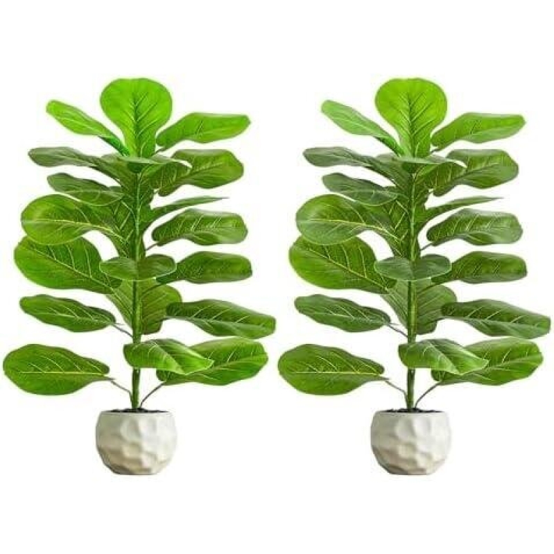 Double Pot Artificial Ficus Lyrata with Stones - 2.5 ft - Premium Quality