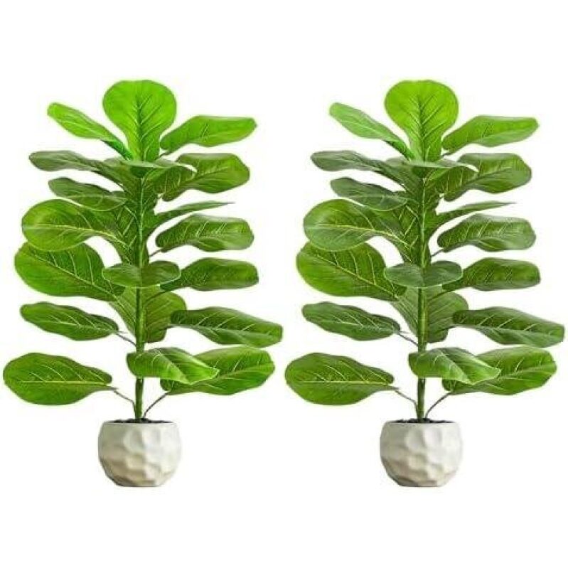 Double Pot Artificial Ficus Lyrata with Stones - 2.5 ft - Premium Quality